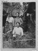 云南省,德宏州,瑞丽市,弄岛镇,弄岛村