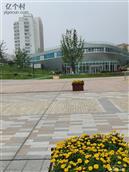 山东省,威海市,荣成市,港湾街道,大鱼岛社区