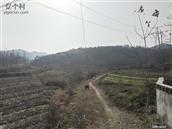 天井村 天井湖