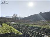 天井村 