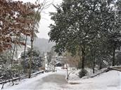 天井村 
