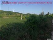 辽宁省,朝阳市,龙城区,半拉山街道,半拉山村