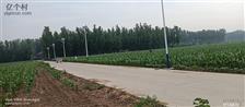 河北省,廊坊市,安次区,调河头乡,洛驼庄三村