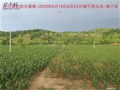 辽宁省,朝阳市,龙城区,半拉山街道,半拉山村