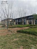 山东省,潍坊市,寿光市,洛城街道,阎家村