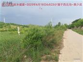 辽宁省,朝阳市,龙城区,半拉山街道,半拉山村