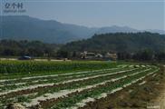 云南省,德宏州,芒市,遮放镇,户拉村