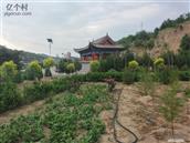 山西省,吕梁市,临县,临泉镇,后麻峪村