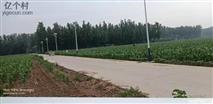 河北省,廊坊市,安次区,调河头乡,洛驼庄三村