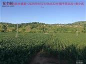 辽宁省,朝阳市,龙城区,半拉山街道,半拉山村