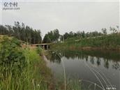 山东省,德州市,陵城区,徽王庄镇,梅庄村