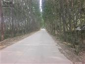 山东省,德州市,陵城区,徽王庄镇,梅庄村