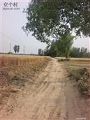 山东省,德州市,陵城区,徽王庄镇,梅庄村