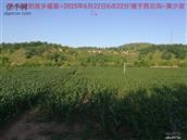 辽宁省,朝阳市,龙城区,半拉山街道,半拉山村