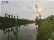 山东省,德州市,陵城区,徽王庄镇,梅庄村