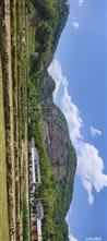 安徽省,六安市,金安区,横塘岗乡,凤凰台村