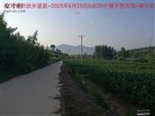 半拉山村 