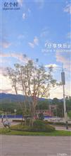 四川省,广安市,邻水县,城北镇,同心村