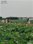 河南省,信阳市,潢川县,隆古乡,张庄村