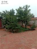 甘肃省,兰州市,永登县,龙泉寺镇,龙泉村