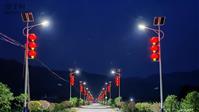 上门王村 漫步在乡村道路上，欣赏夜色美景，天然氧吧！
2025.06.16