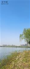 安徽省,六安市,金安区,横塘岗乡,凤凰台村