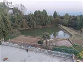 王龙村 
