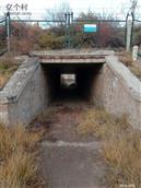 甘肃省,兰州市,永登县,龙泉寺镇,龙泉村