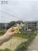 长塘村 