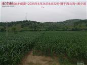 辽宁省,朝阳市,龙城区,半拉山街道,半拉山村