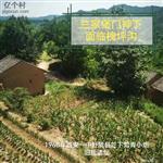 陕西省,宝鸡市,陇县,河北镇,兰家堡村