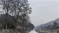 甘肃省,天水市,秦州区,太京镇,川口村
