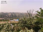 甘肃省,天水市,秦州区,太京镇,川口村