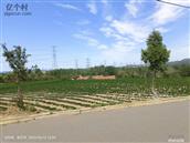 山东省,临沂市,莒南县,文疃镇,永兴村