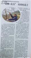 山西省,阳泉市,郊区,旧街乡,保安村