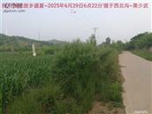 辽宁省,朝阳市,龙城区,半拉山街道,半拉山村