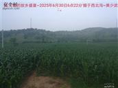 辽宁省,朝阳市,龙城区,半拉山街道,半拉山村