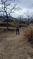 湖北省,黄冈市,麻城市,盐田河镇,上屋冲村
