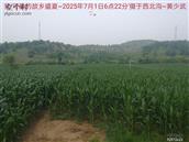 辽宁省,朝阳市,龙城区,半拉山街道,半拉山村