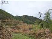 浙江省,丽水市,莲都区,峰源乡,横坑村