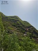 陕西省,安康市,汉滨区,石梯镇,叶沟村