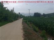 辽宁省,朝阳市,龙城区,半拉山街道,半拉山村