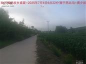 辽宁省,朝阳市,龙城区,半拉山街道,半拉山村