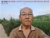 辽宁省,朝阳市,龙城区,半拉山街道,半拉山村