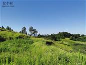 四川省,达州市,开江县,骑龙乡,六家坝村