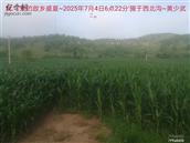 辽宁省,朝阳市,龙城区,半拉山街道,半拉山村