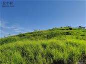 四川省,达州市,开江县,骑龙乡,六家坝村