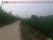 辽宁省,朝阳市,龙城区,半拉山街道,半拉山村
