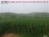 辽宁省,朝阳市,龙城区,半拉山街道,半拉山村