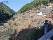 浙江省,丽水市,莲都区,峰源乡,横坑村